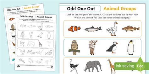 Animals Odd One Out Activity (teacher made) .